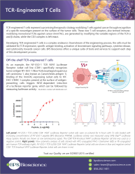 TCR-Engineered T Cells Flyer