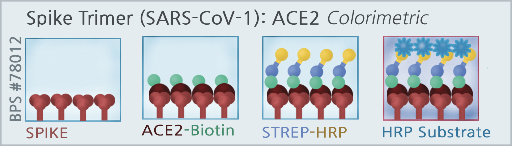 ACE2 Inhibitor Screening Colorimetric Assay Kit