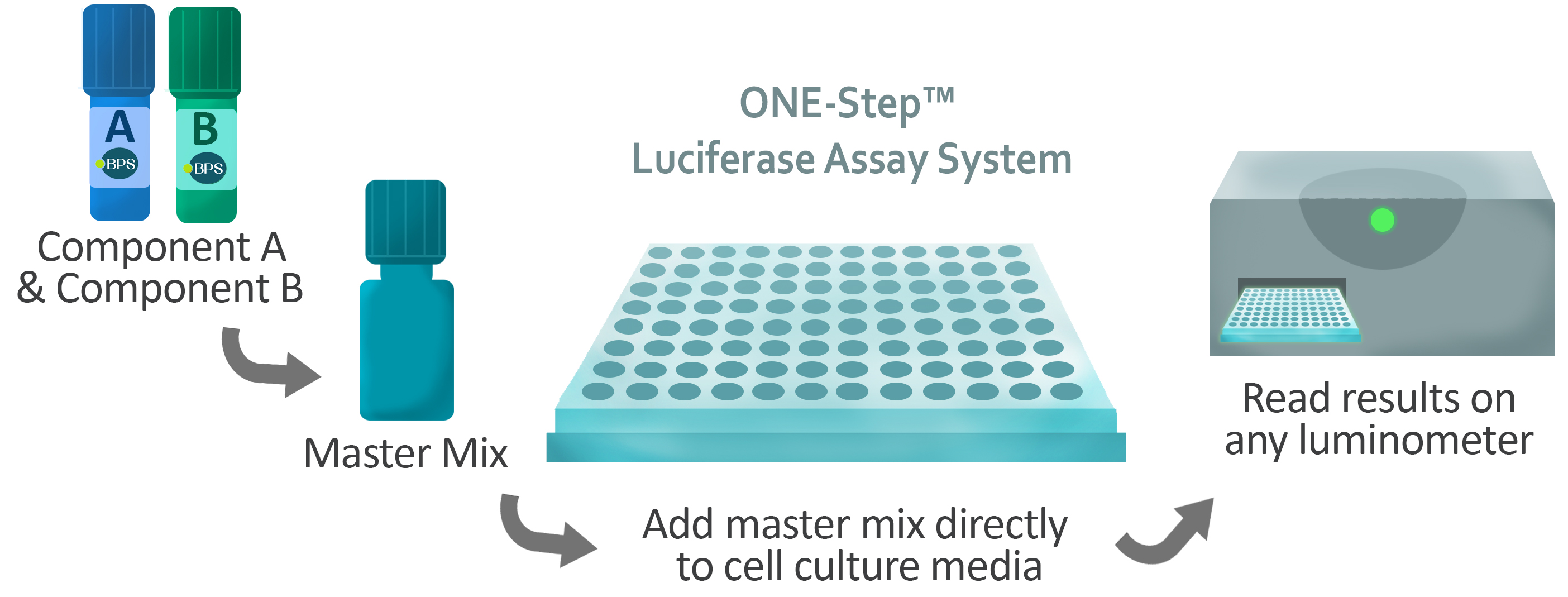 ONEStep™ Luciferase Assay System