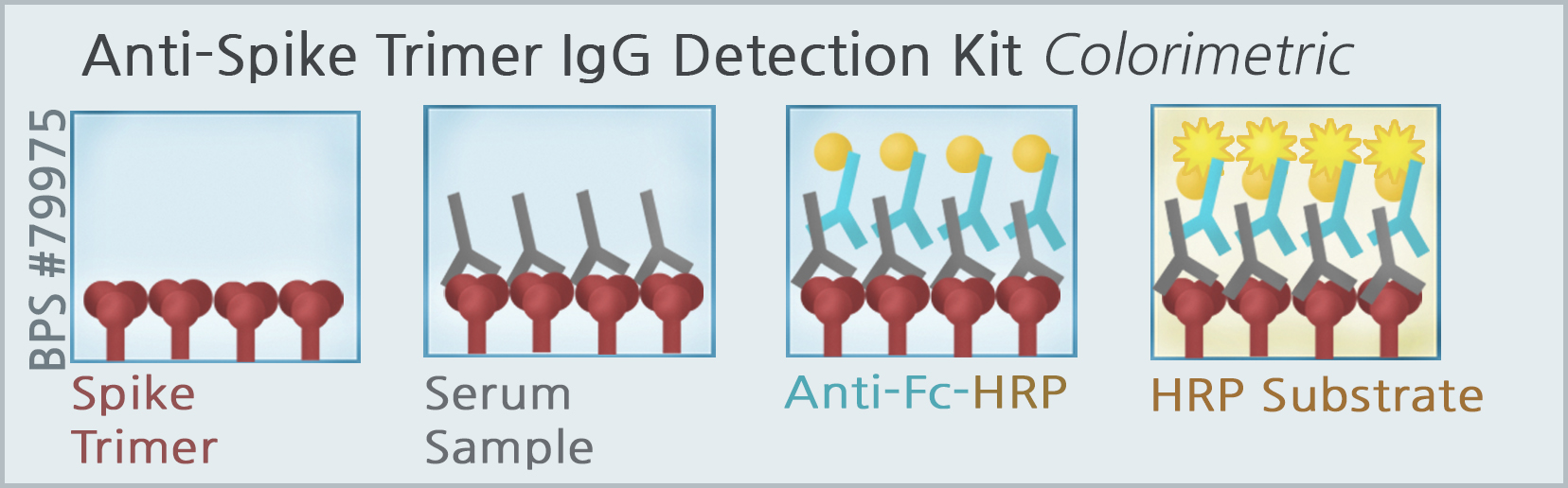 humane dagbog Arbejdsløs SARS-CoV-2 IgG Detection Kit (Colorimetric Anti-Spike IgG detection)